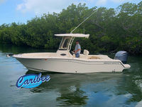 2024 Grady white Fisherman 236